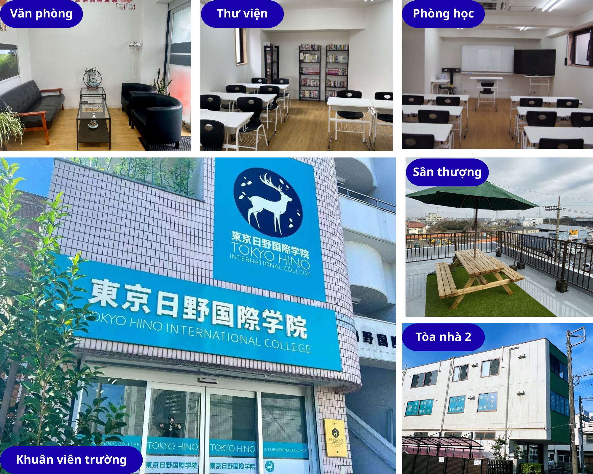 Cơ sở vật chất Học viện Quốc tế Tokyo Hino
